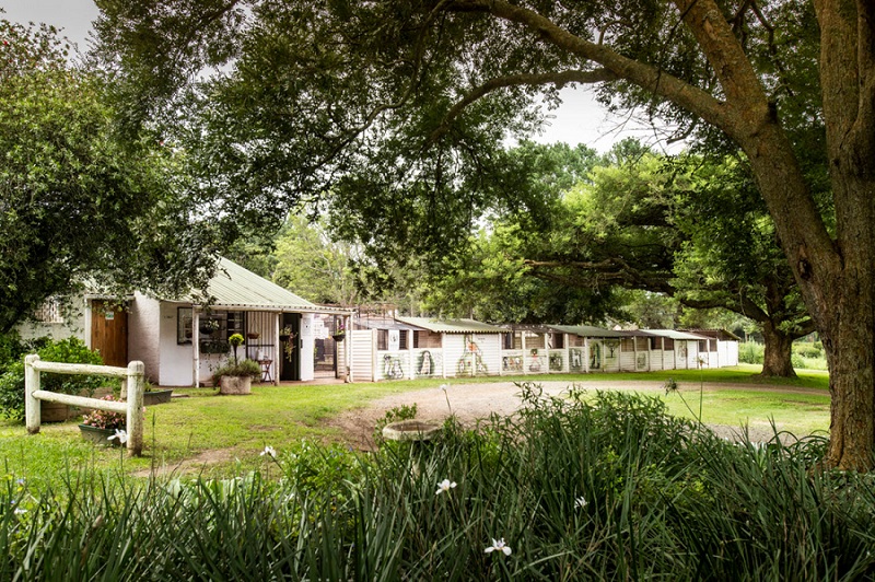 Visit Dargle Dale Kennels